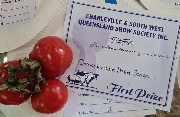 win tomatoes.jpg